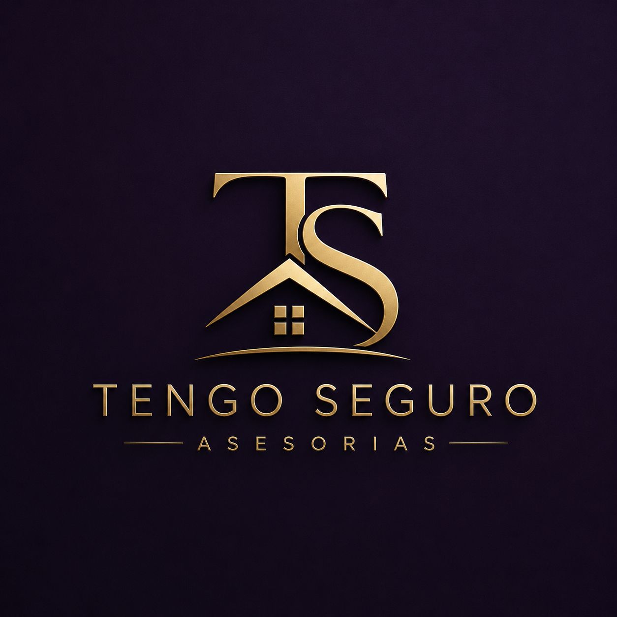 Tengo Seguro Logo